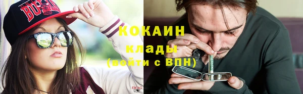 гашик Алексин