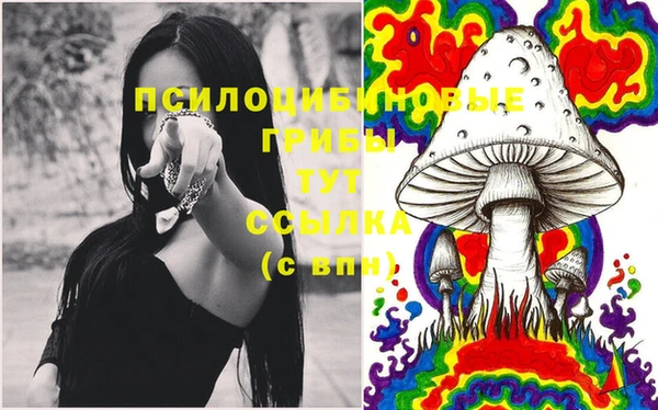 гашишное масло Абинск