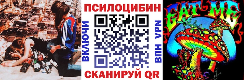 Галлюциногенные грибы Magic Shrooms  купить  цена  MEGA как зайти  Сухиничи 